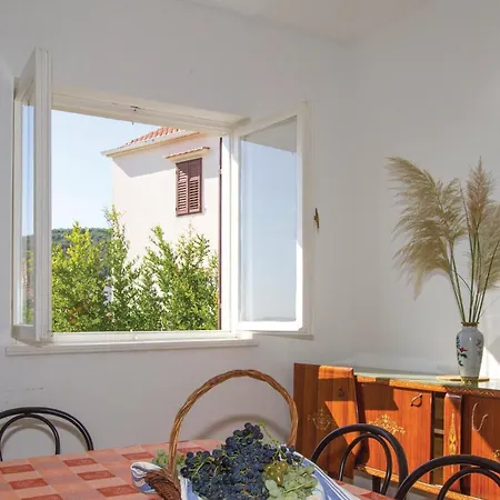 Apartment Amazing In With House Sea View Preko